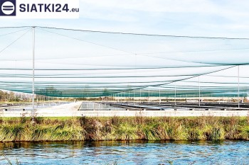 Siatki Wisła - Siatka ochronna na zbiornik z rybami, efektywne zabezpieczenie przed ptakami dla terenów Miasta Wisła