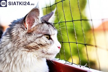 Siatki Wisła - Siatka na balkony dla kota i zabezpieczenie dzieci dla terenów Miasta Wisła