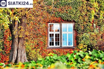 Siatki Wisła - Siatka wspomagająca wzrost roślin pnących na ścianie dla terenów Miasta Wisła