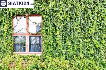 Siatki Wisła - Siatka z dużym oczkiem - wsparcie dla roślin pnących na altance, domu i garażu dla terenów Miasta Wisła
