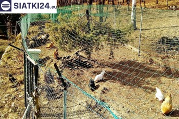 Siatki Wisła - Siatka na woliery - zabezpieczenia ptaków w hodowli dla terenów Miasta Wisła